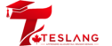 cropped logo teslang 1.png